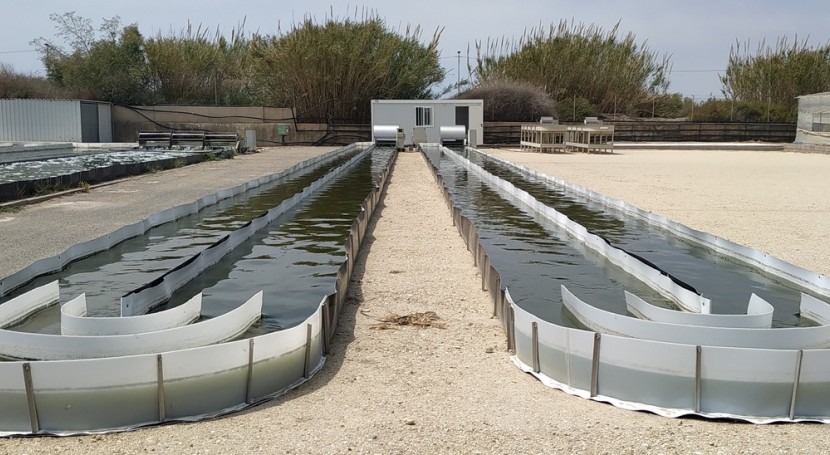 Comenzó a funcionar la primera planta de tratamiento de agua con microalgas