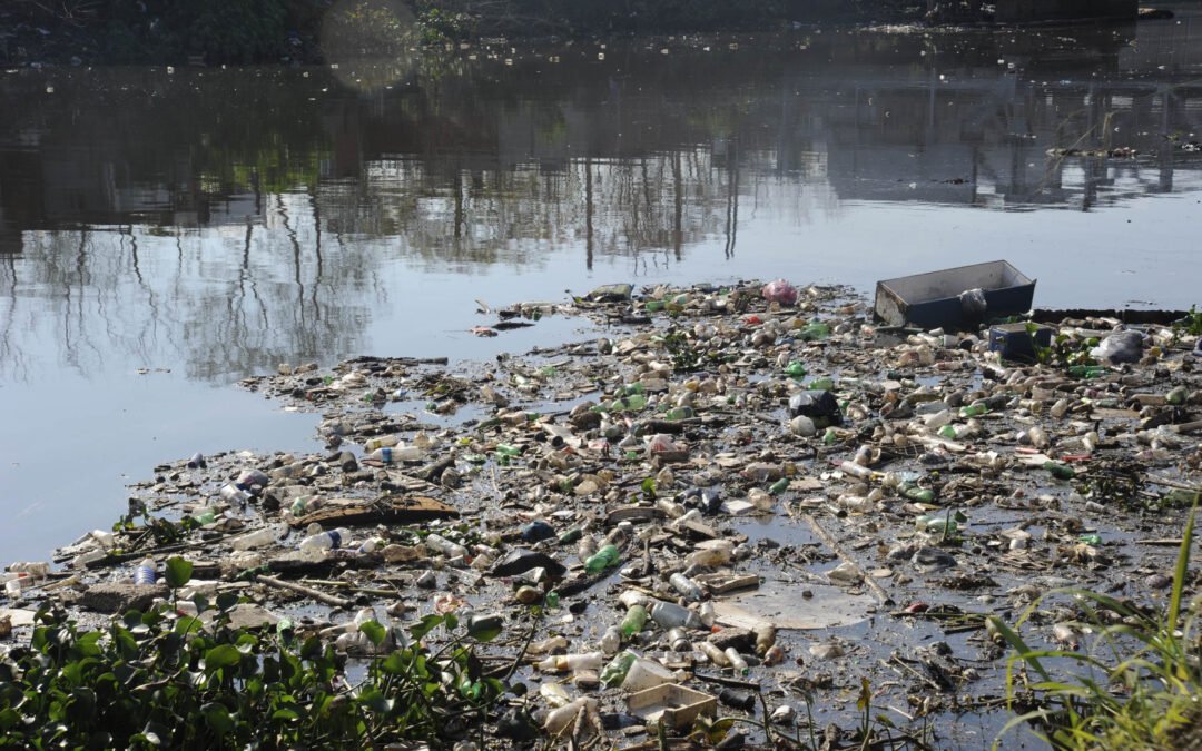 Identifican cuál es la mayor proporción de contaminantes en el Riachuelo