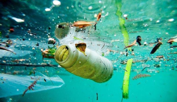 Desde Mar del Plata una nueva solución para los nanoplásticos.