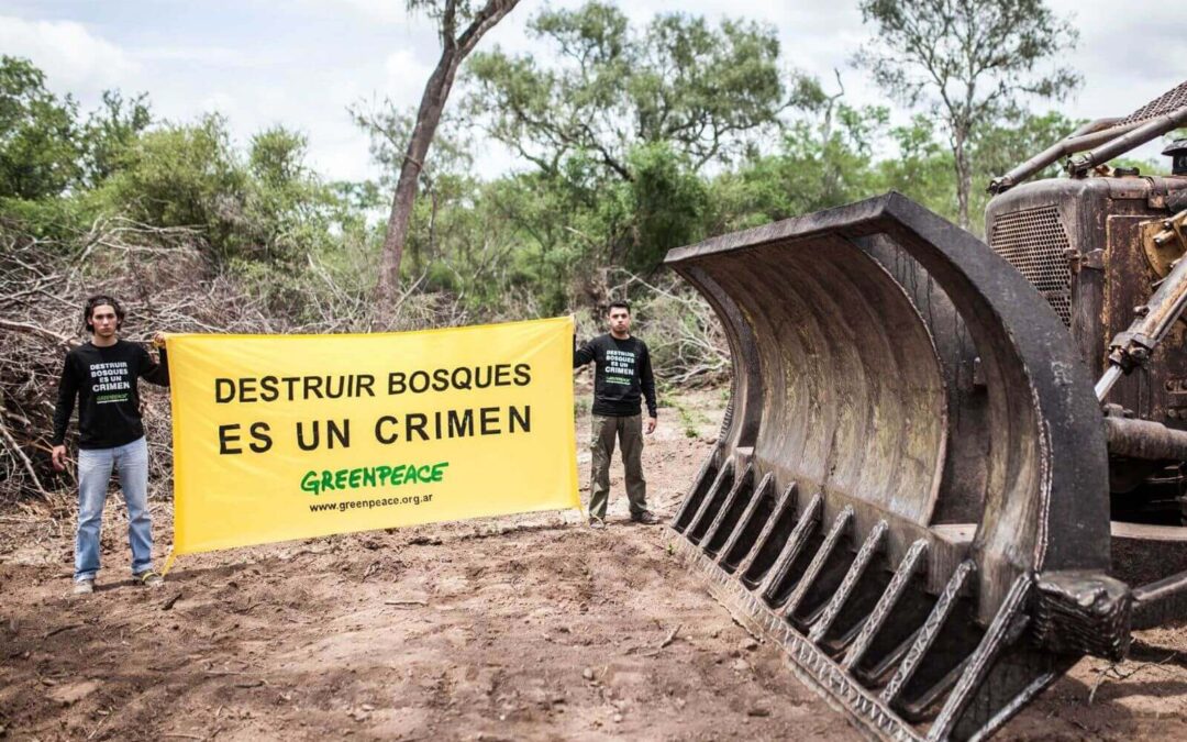 Greenpeace denuncia desmontes en la Argentina