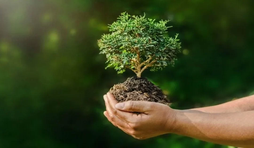 ¿Conocías el Día Mundial de la Protección de la Naturaleza?