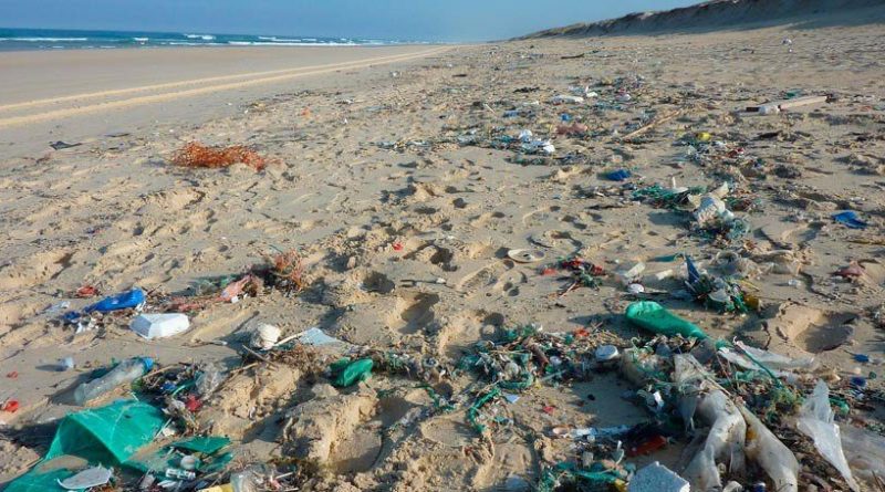Ambiente lanzó una plataforma nacional para combatir los residuos costeros
