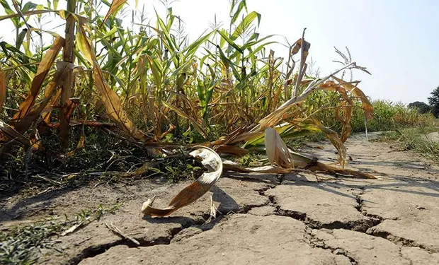 Buenos Aires y Santa Cruz bajo emergencia agropecuaria por la sequía