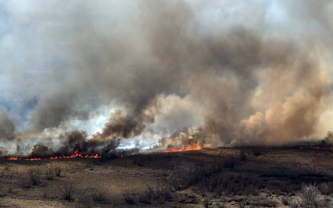 Hay nuevas penas por los incendios en el Delta