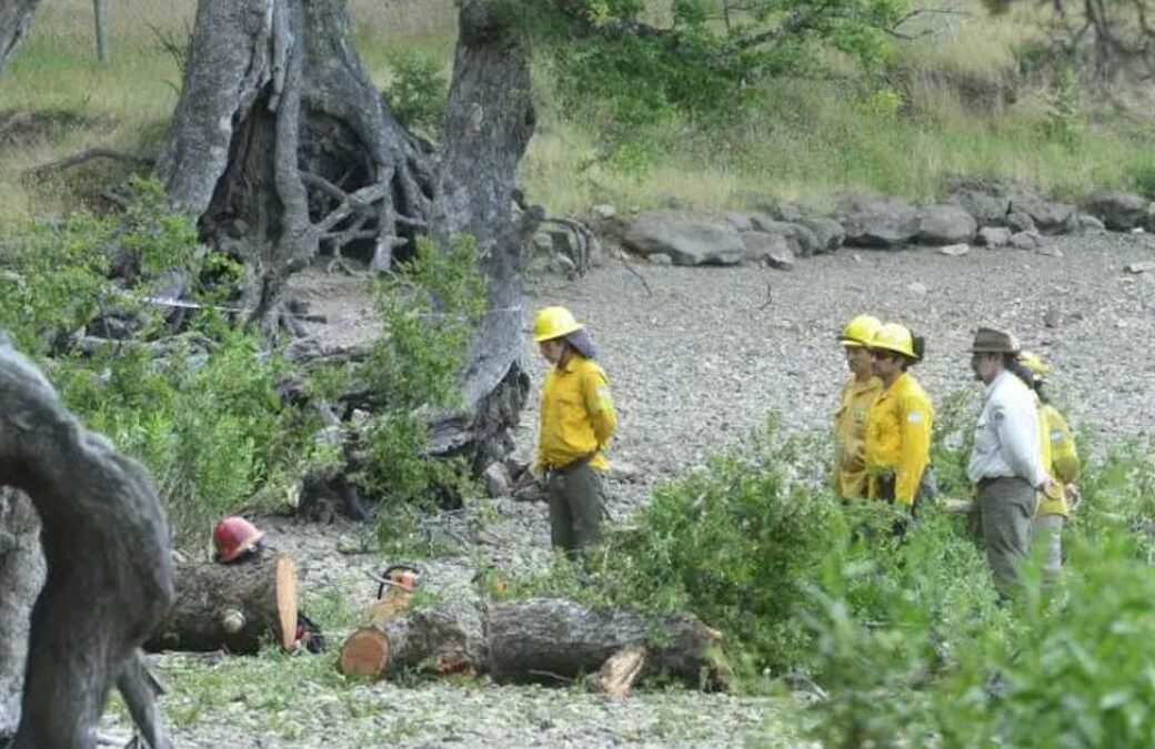 Guardaparques deberán responsabilizarse por la muerte de dos niños