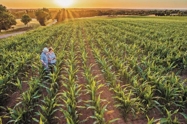 La FAO revela los costos ocultos de los sistemas agroalimentarios