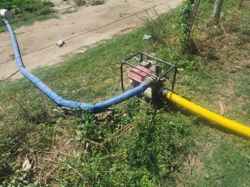 Alerta por el riego de verduras con aguas negras del río Arenales