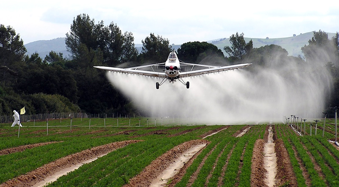 Hay omnipresencia de agroquímicos en todo Buenos Aires