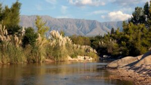 Es necesario crear reservas naturales para cuidar el ambiente