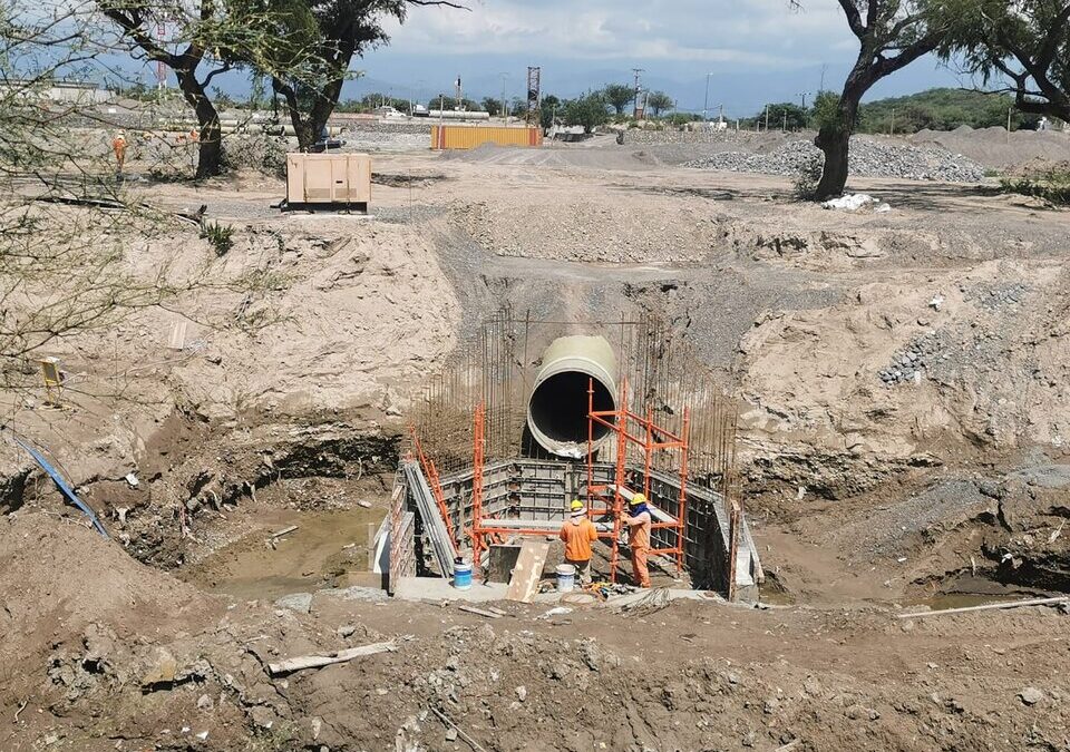 Constataron el riego de hortalizas con aguas con "alto riesgo de contaminación"