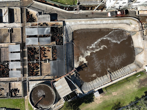 Un frigorífico deberá realizar un plan de remediación por daño ambiental