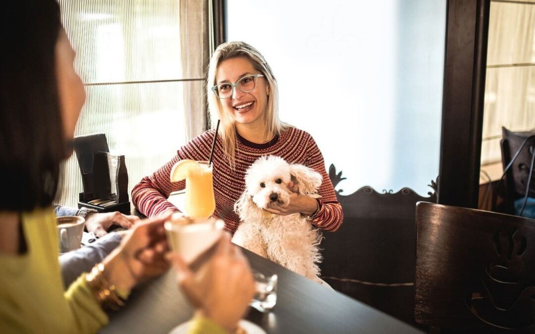 Las regulaciones de Florida niegan la permanencia de mascotas en bares pet friendly.