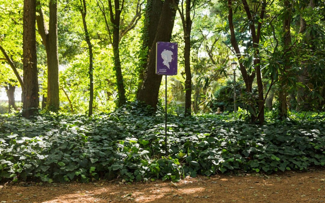 El Jardín Botánico iniciará este sábado su cuarta edición de este evento. Se trata de una instalación performática que presentará a diversas actrices, directoras y dramaturgas. Algunas de las más destacadas son Andrea Garrote y Lorena Vega.