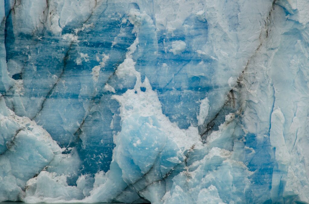 Los Glaciares conforman un ecosistema mucho más amplio.