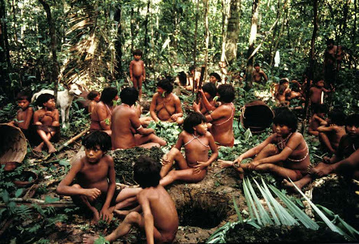 El pueblo yanomami de Brasil está en riesgo.