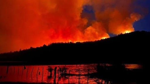 Los fuegos arrasaron más de mil hectáreas en el Parque Nacional Los Alerces.