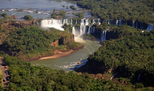 Denuncian que permitirán talar zonas de selva protegida en Misiones