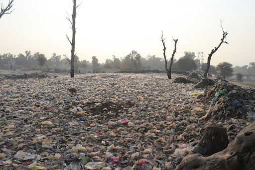 Ecologistas buscan proteger la legislación en materia de ambiente