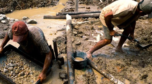Los mineros ilegales destruyen la selva y los recursos de vida de los yanomamis en Brasil.