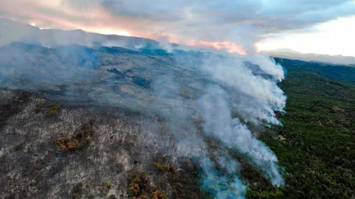 El viento complica el incendio en el Parque Nacional Los Alerces