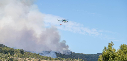 El Estado actuará como querellante tras el incendio en la Patagonia