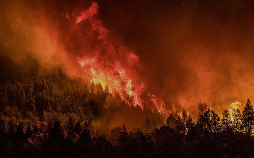 El incendio arrasa con más de 600 hectáreas de tierras.