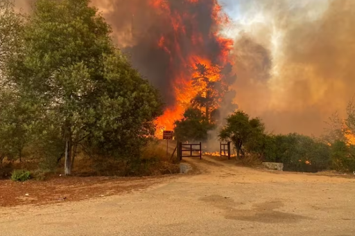 La incidencia de incendios en Chile podría aumentar en la zona de Viña del Mar.