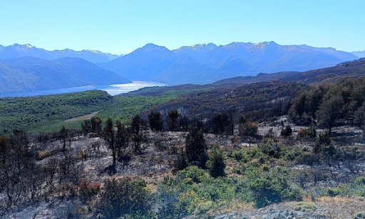 Calculan los daños que dejó el incendio en la Patagonia