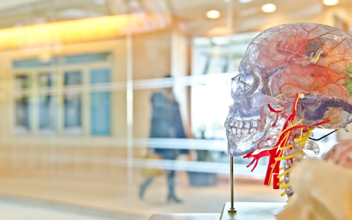 Descubren otro factor que podría aumentar las probabilidades de Alzheimer