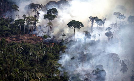 Los incendios de Brasil, Venezuela y Bolivia permanecen activos.