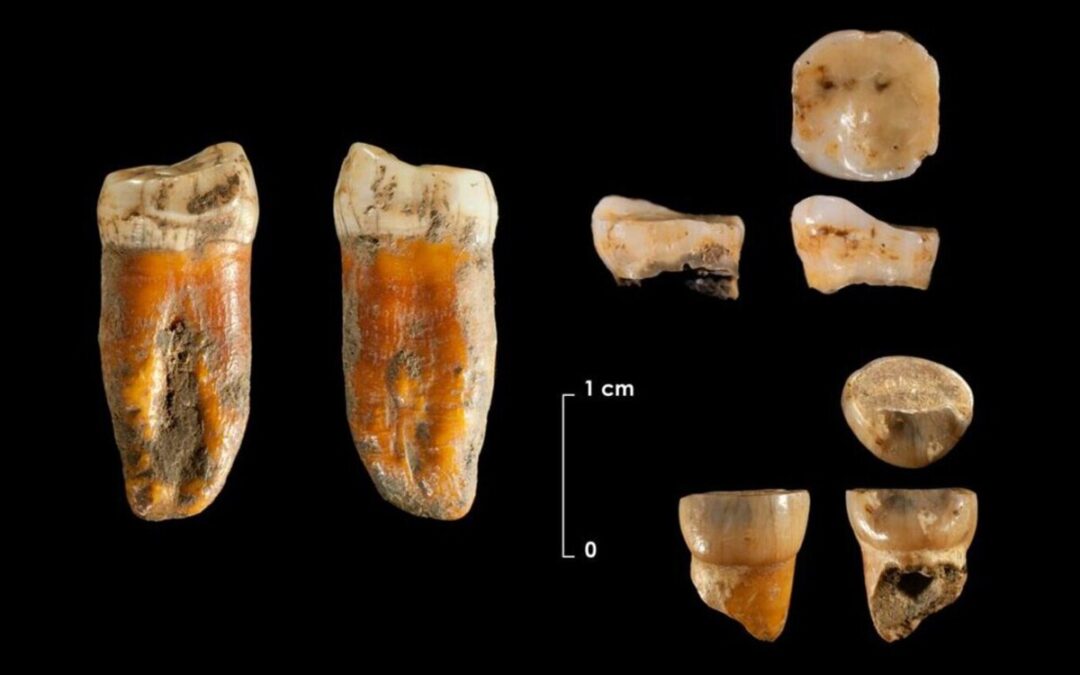 Se trata de restos dentales pertenecientes a tres humanos.