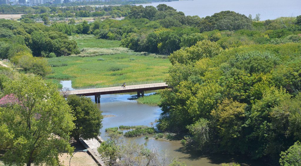 La fauna de la reserva ecológica se ve en riesgo por las malas prácticas ambientales.