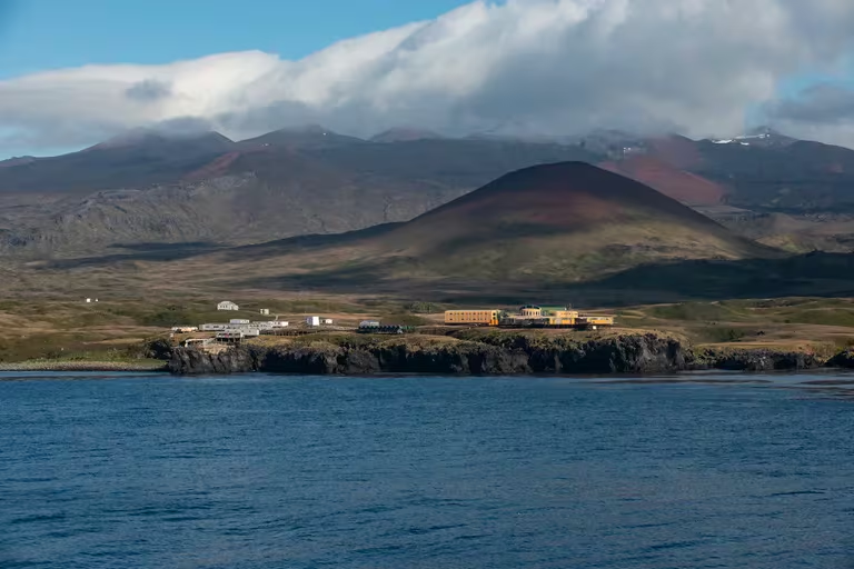 Los ratones fueron traídos a la isla Marion por pescadores de ballenas.