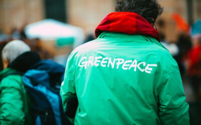 Greenpeace insiste en su lucha por salvaguardar los bosques