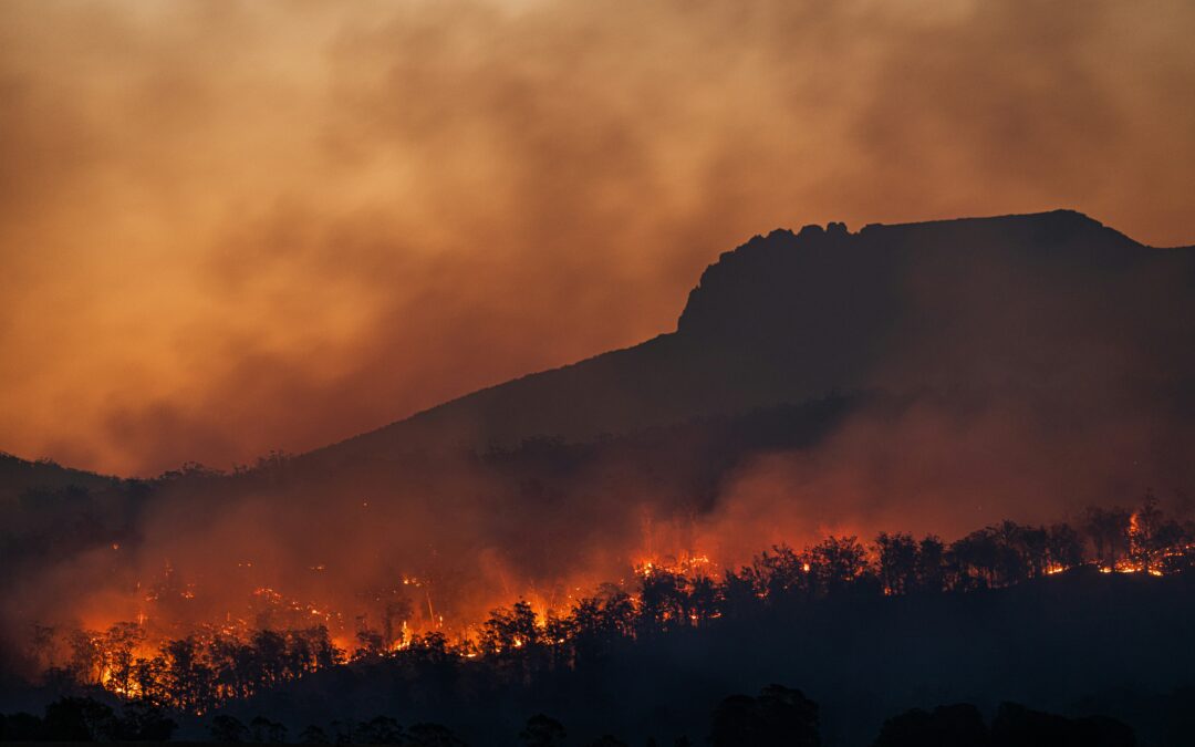 El cambio climático ha exacerbado los incendios forestales en todo el mundo.
