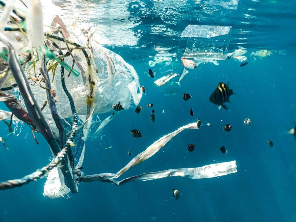  La contaminación del agua es el tercer factor ambiental que más preocupa a los argentinos. 
