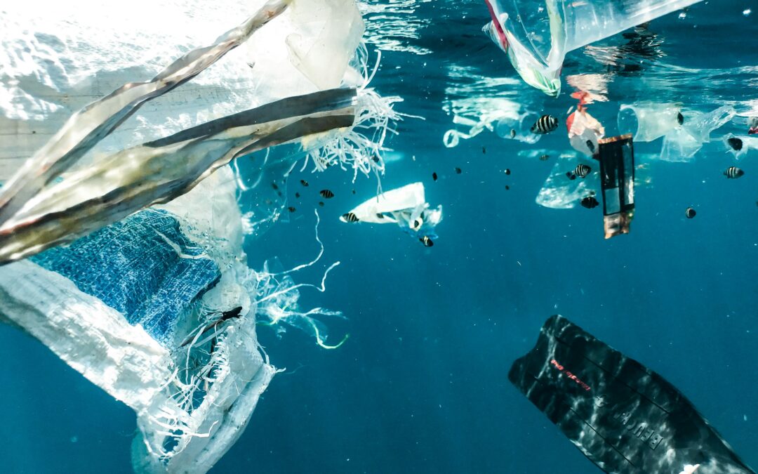 Las temperaturas oceánicas rompen todas las marcas diarias