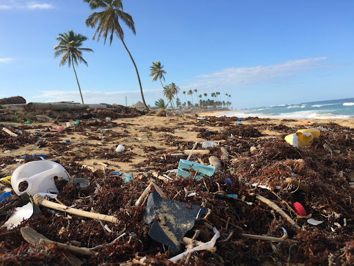 El ecocidio implica el daño a un ecosistema.