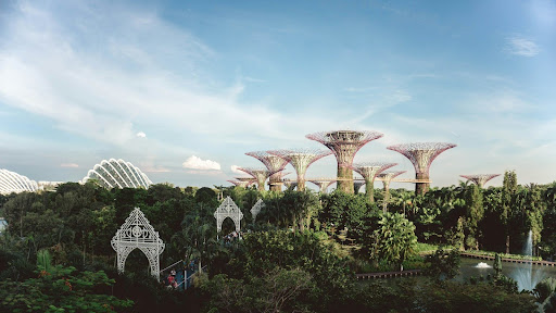 Singapur debe establecer nuevas normas para proteger su escaso bosque nativo.