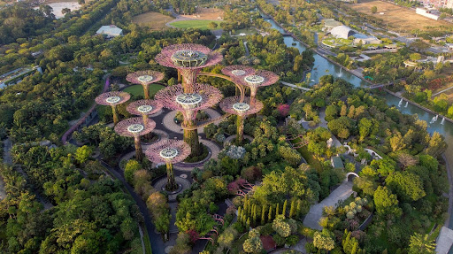 Singapur evalúa su situación ecosistémica