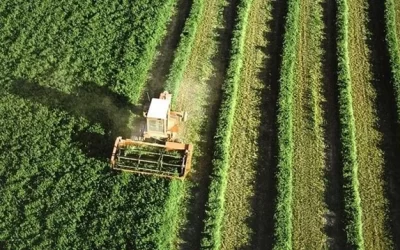 Acusan a las empresas de agroalimentos de no reducir el uso del agua en su producción