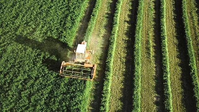 el 28 % de las empresas agroalimentarias más influyentes del mundo afirma estar reduciendo sus extracciones de agua, y únicamente el 23 % dice estar tomando medidas para reducir la contaminación.