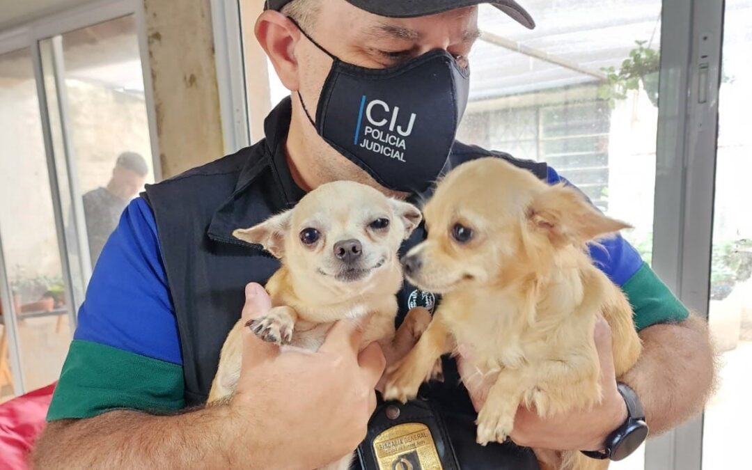 Los criaderos estaban ubicados en los barrios porteños de Villa Crespo y Mataderos.