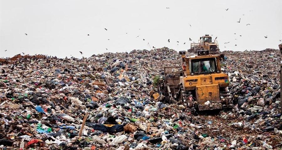 Los basurales representan una amenaza para los ecosistemas y para las personas.