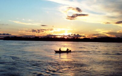 Multan a una importante empresa papelera por contaminar el río Paraná