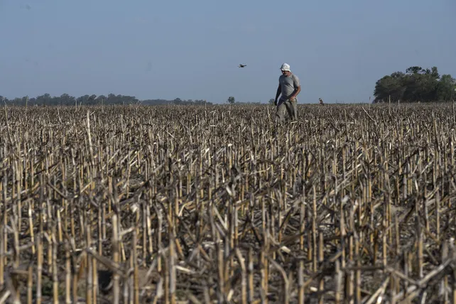 El Niño termina y La Niña va a causar cambios en los próximos meses