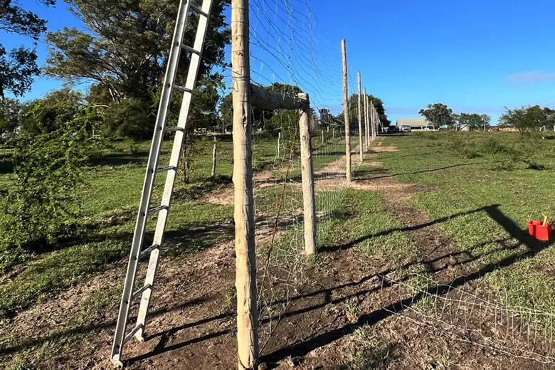 Imágenes de las instalaciones a las que serán trasladados los pumas en los próximos días.