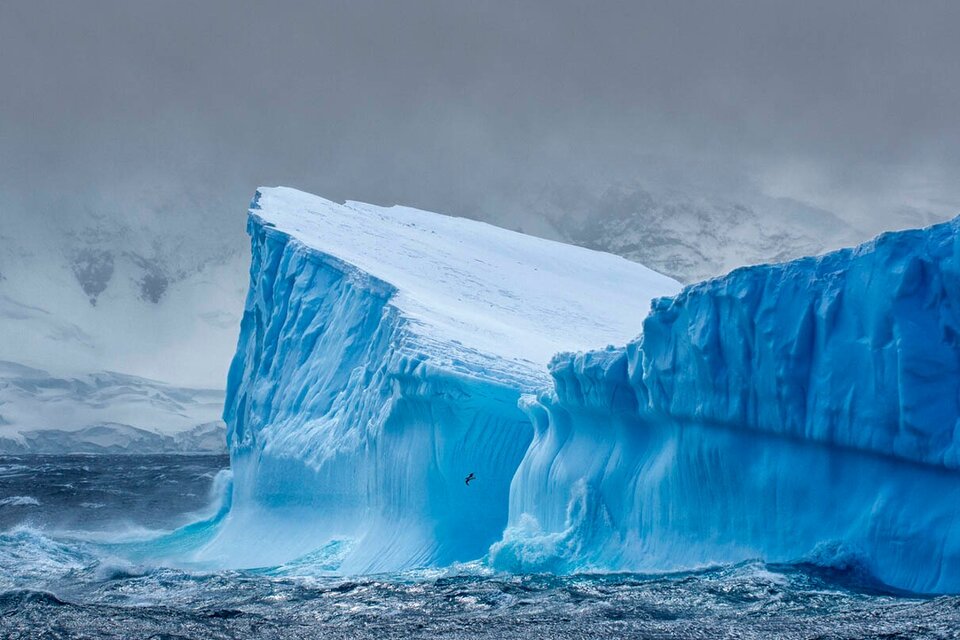 Un iceberg se desprendió de una plataforma en la Antártida y se encuentra a la deriva