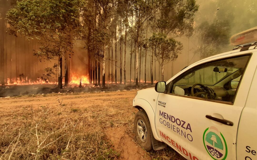 Los brigadistas forestales se suman a capacitaciones