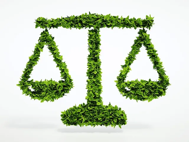 La ONU plantea alternativas en materia de ambiente para crear una legislación conjunta.